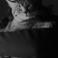 Mi pequeño se hace mayor